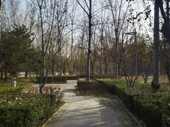 -南长河公园