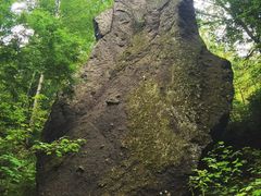 -峡谷浮石林景区