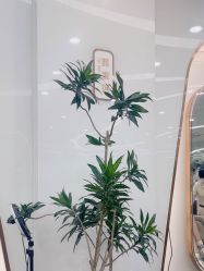 -JGO·烫染接发