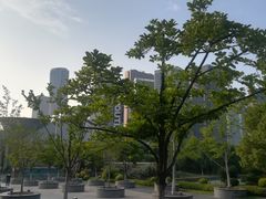 -城市阳台