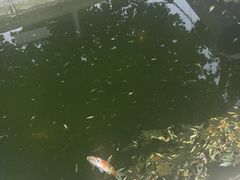 -河北村民俗体验园