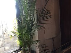 -心邸·庆宴(雅宝城店)