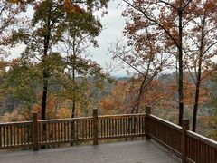 -云碧峰国家森林公园