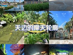 -顺德欢乐海岸PLUS