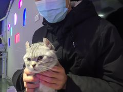 -极木²邸 人与宠物·互动社区