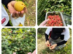 -铁山坪森林公园