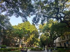 -星巴克臻选(广州沙面店)