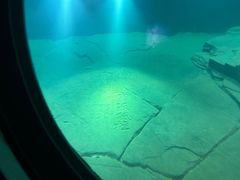 -白鹤梁水下博物馆