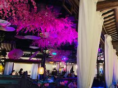 -韵秋荷(宝山龙湖天街店)