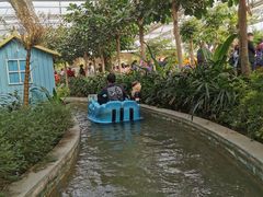 -南宫五洲植物乐园