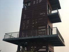 -春花秋色城市公园