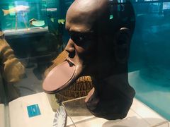 -中国湿地博物馆