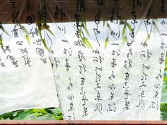 -白洋淀景区