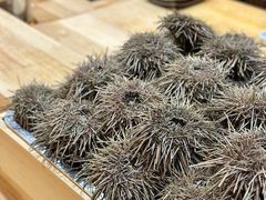 -鮨乐亭Omakase·海胆宴