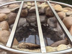-水底山庄园温泉