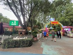 -广州长隆国际大马戏