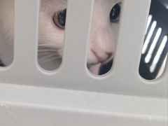 -美联众合24小时·皮肤科·外科·全科诊疗中心(华苑分院)