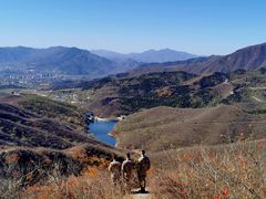 -北京西山国家森林公园