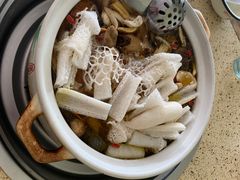 -杨记山珍鸡煲菌汤锅