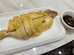 -梅龙镇酒家(南京西路总店)