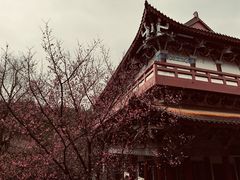 -中国酒文化城