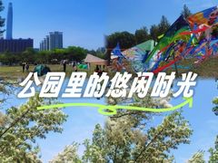 -泰丰公园