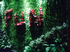 -凡花主题KTV(天虹店)