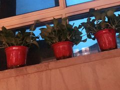 -比格比萨自助(国展店)