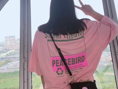 -影汇之星8字形摩天轮
