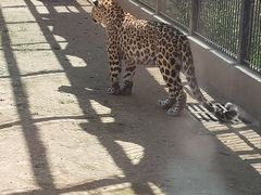 -石家庄市动物园