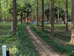 -黄海国家森林公园