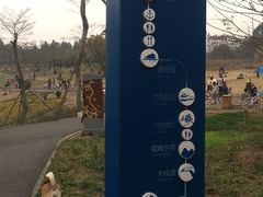 -白鹭湾湿地公园