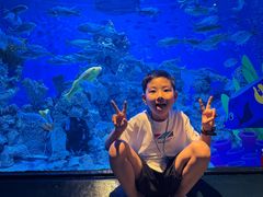 -海合安成都极地海洋公园