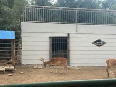 -青藏高原野生动物园