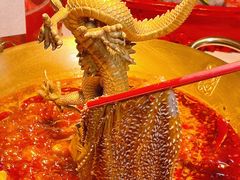 -小龙翻大江文化火锅(宽窄店)