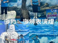 -左海海底世界