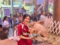-正佳雨林生态植物园