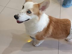 -平行世界·猫咖(首经贸店)