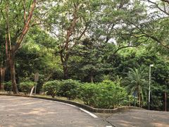 -福神岗公园