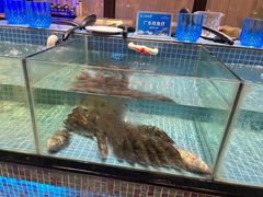 水产区-小天鹅戴斯酒店鲸鲨百汇创作料理