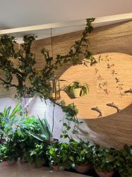 -至爱至信新中式SPA疗愈会所