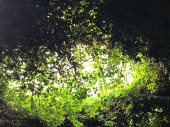 -龙达温泉生态城