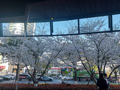 -星巴克臻选(苏州汇豪店)
