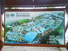 -荷花大观园