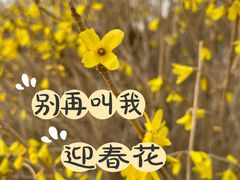 -棋盘山风景区