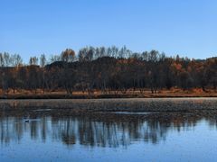 -塞罕坝国家级自然保护区