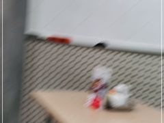 -喜莲咖啡