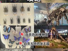-自贡恐龙博物馆