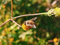-北京十三陵国家森林公园蟒山景区