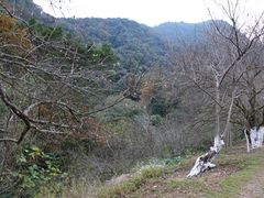景点-广州市石门国家森林公园
